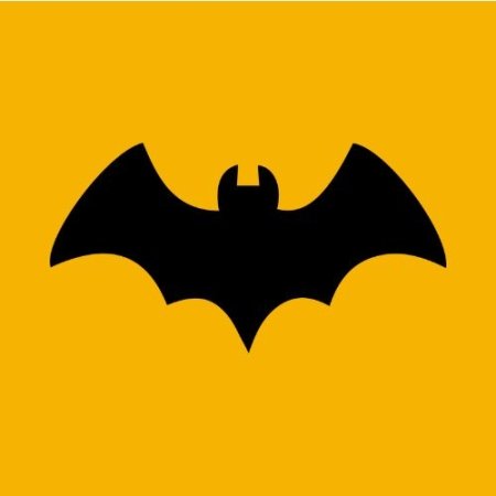 Control de Murciélagos